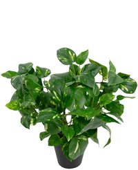 Kunstpflanze Golden Vine im Topf 40cm