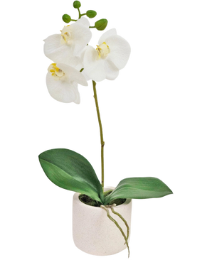 Die künstliche Orchidee Real Touch 30 cm weiß hat lebensechte weiße Orchideenblüten und grüne Blätter in einem kleinen weißen Topf, perfekt, um jedem Raum Eleganz zu verleihen.
