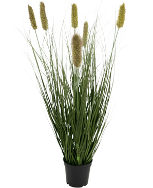 Der feuerhemmende Kunstrasen-Matsutake-Zwiebelgrastopf (61 cm) hat lange, dünne, grüne, grasähnliche Blätter und gelbliche, flauschige, zylindrische Federn in einem schwarzen Topf, die vor einem weißen Hintergrund an Kunstrasen erinnern.